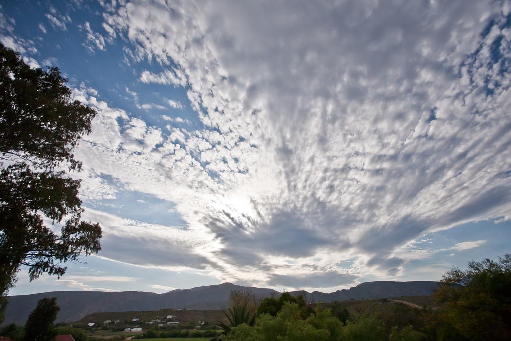 The Queen Of Calitzdorp Luaran gambar